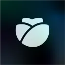 Letus Studio Discord Server Icon