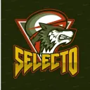 Selecto Esport