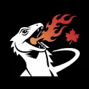 LethalLizard Studios