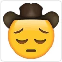 reverse cowgirl ? no, sir ! NEVER turn your back on FAMILY !