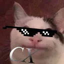 𝐶𝑋