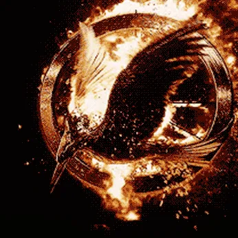 Phoenix™ — мониторинг Discord сервера, статистика и рейтинг
