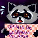 RacoonDireiker
