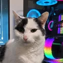 One Of The Servers Of All Time