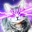 //vin