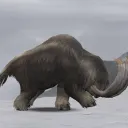 忍び寄る気配