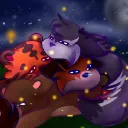 BW Squad