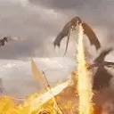 Dragon Family