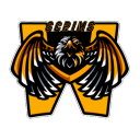 Wazerty Scrims icon