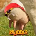 The Milk Shack Discord server icon