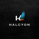 HALCYON ESPORTS icon