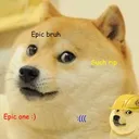 doge and the epic bois