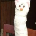 Furby