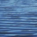 The Flood