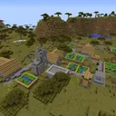 the village