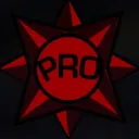 The Pros!