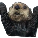 Residenz zum goldenem Otter
