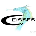 Ceisses' Stream server