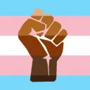 Trans-actie