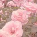 lovelies Server Icon