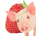 Ham_And_Jam