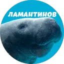 Ламантиновые стримы
