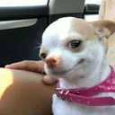 Sladenn's Discord