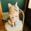 ゼロひろのお家