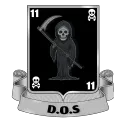 Drużyna Operacyjno-Szturmowa