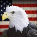 Derdy Birds