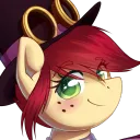 Pony Events
