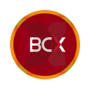 Bitcoinxash (Business Connexion (pty)