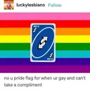 The Gays™