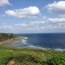 羽柴ととりくんを愛でる会