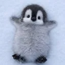 Bald Antarctica