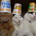 New Age Breakfast Club