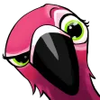 The Flamingo Madness