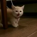 Геройская Котельня