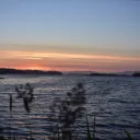 destiny shit