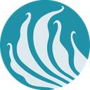 Teal Fish Studio Discord Server Icon