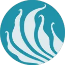 Teal Fish Studio
