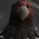 Birb Bois