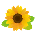 ひまわり畑