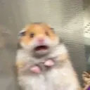𝐍𝐧 𝐌𝐔𝐒𝐈𝐂 𝐑𝐎𝐎𝐌
