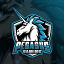 Pegasus Gaming