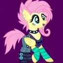 EFNW Renegades