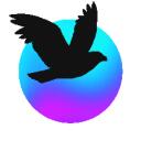 FLKNS icon