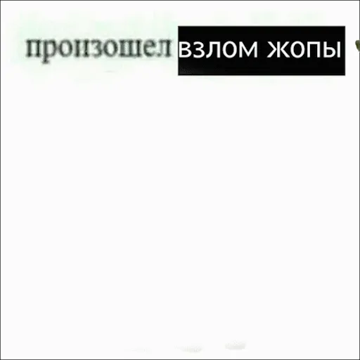 коничива) — мониторинг Discord сервера, статистика и рейтинг