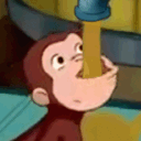 🅱uncha 🅱onkeys