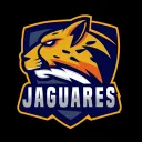 Jaguares